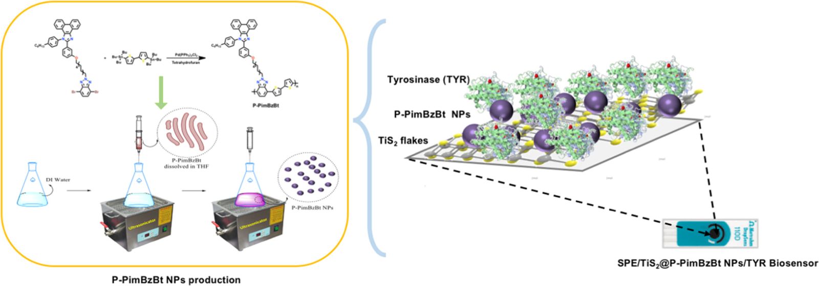 Two-Dimensional TiS2 Nanosheet- and Conjugated Polymer Nanoparticle-Based Composites for Sensing Applications